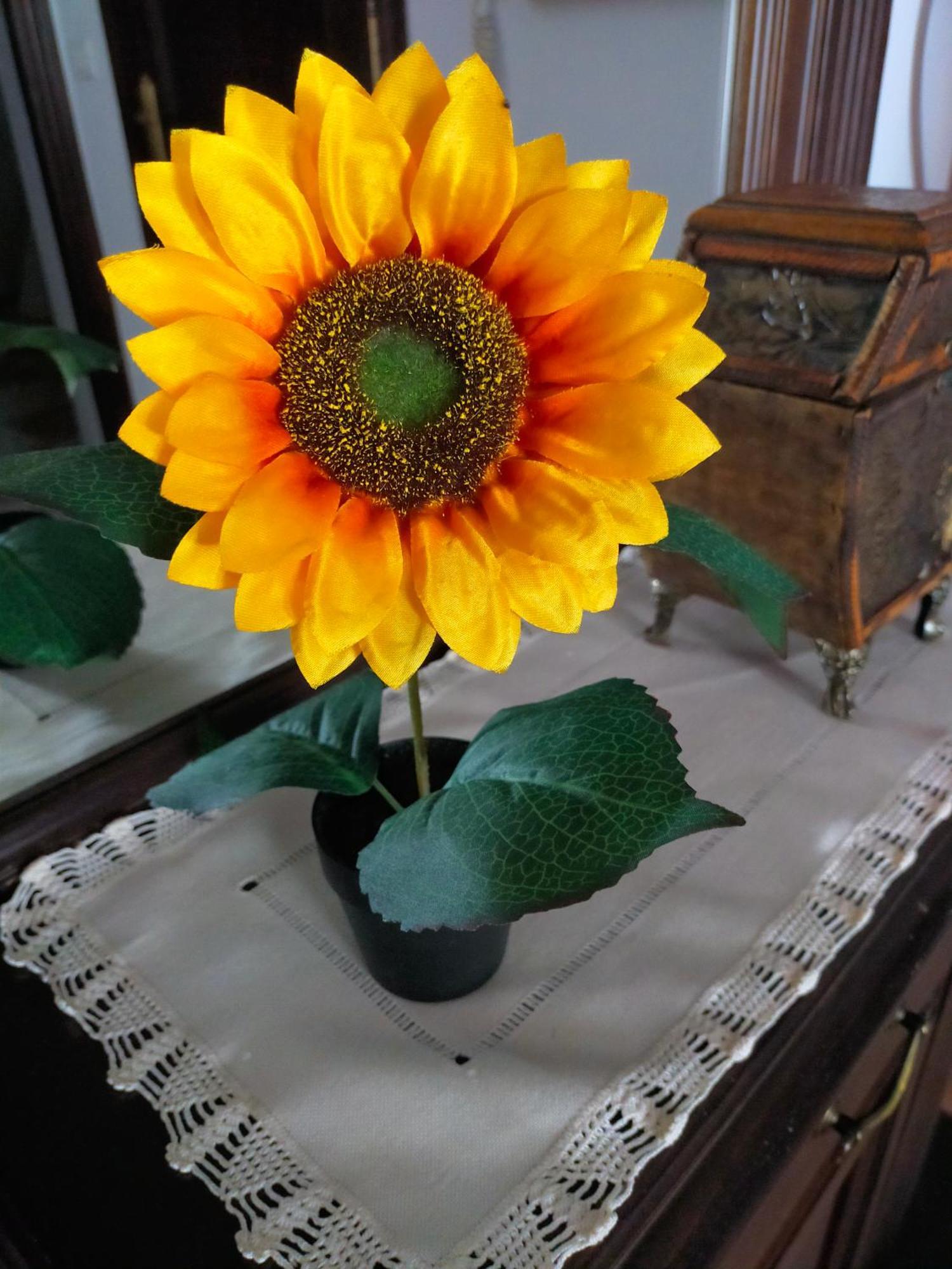 Los Girasoles Олвера Екстериор снимка